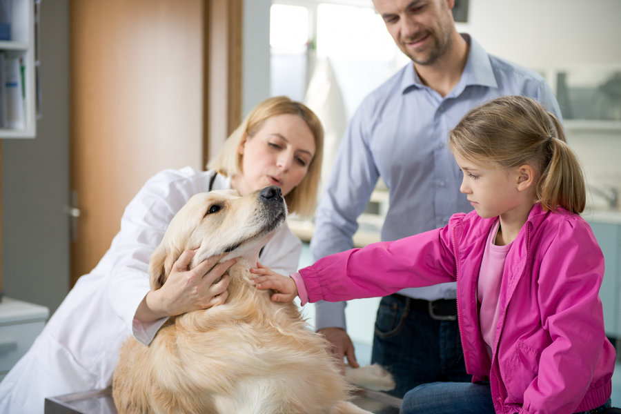 Medication Tips for Pet Parents